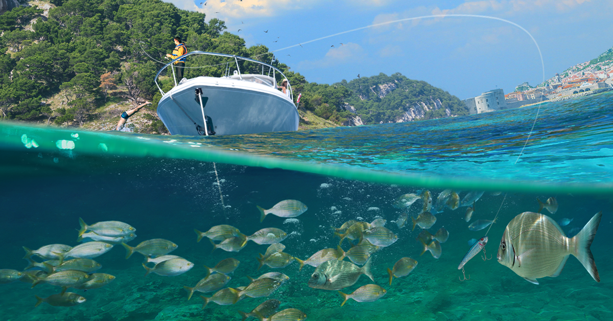 Dubrovnik in Fishing Clash
